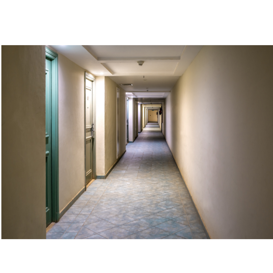 Untitled (300 x 300 px) (750 x 750 px)